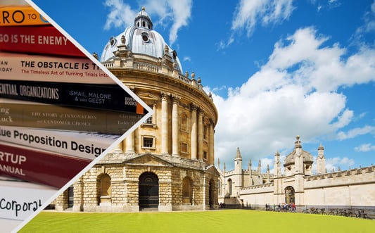 Immerse Business Management at Oxford University