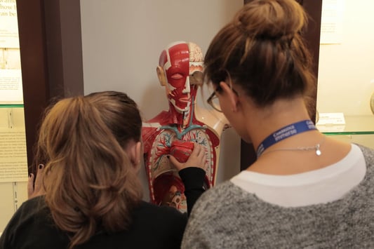Immerse Education Medicine at University College London