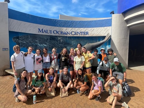 https://imagedelivery.net/MvAo_D3s9gUte9MaPXkmyw/sea-turtle-marine-conservation-teens-hawaii-10-days/58e81057-590f-4537-9363-9736c8c0995a.jpeg/coursedetailxgallery