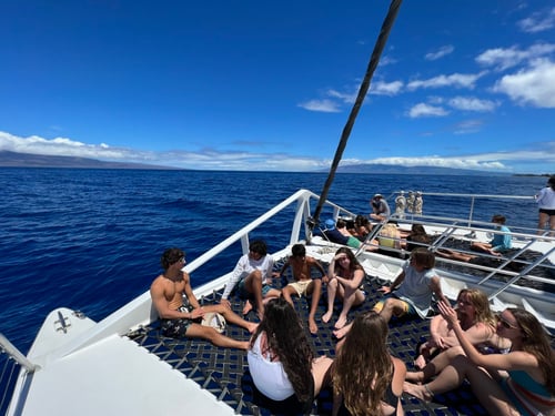 https://imagedelivery.net/MvAo_D3s9gUte9MaPXkmyw/sea-turtle-marine-conservation-teens-hawaii-10-days/Hawaii-june-25-2022-1536x1152.jpeg/coursedetailxgallery